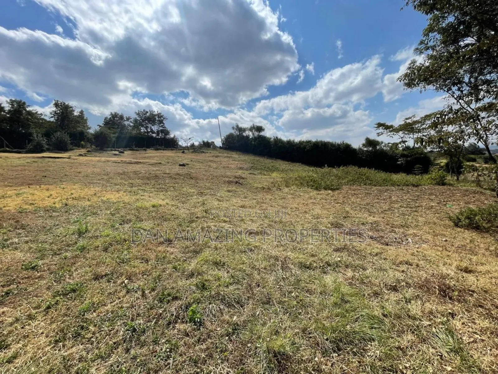 1/4 Plot in Ngong Kibiku for Sale Ideal for Residential Home in Kibiku