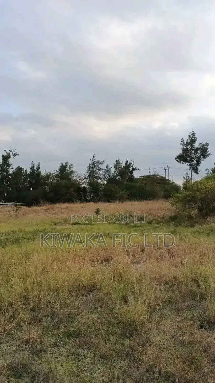 Eighth Acre Plots in Rongai for Sale for 1 Million in Maasai Lodge