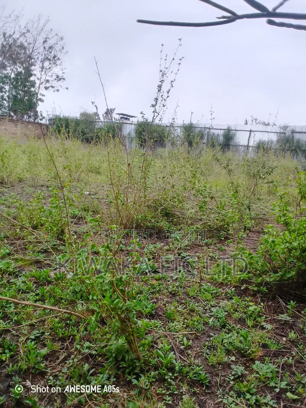 Eighth Acre Plots in Rongai for Sale for 1 Million in Maasai Lodge