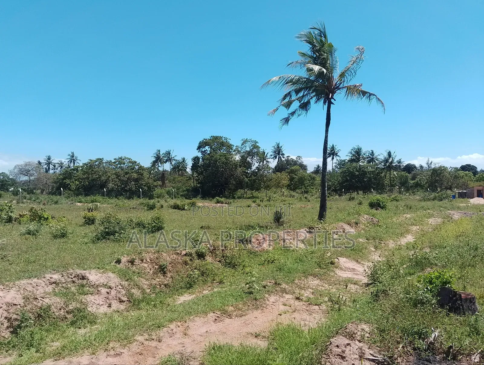 1/8 Prime Plot for Sale at Dongo Kundu Bypass in Likoni