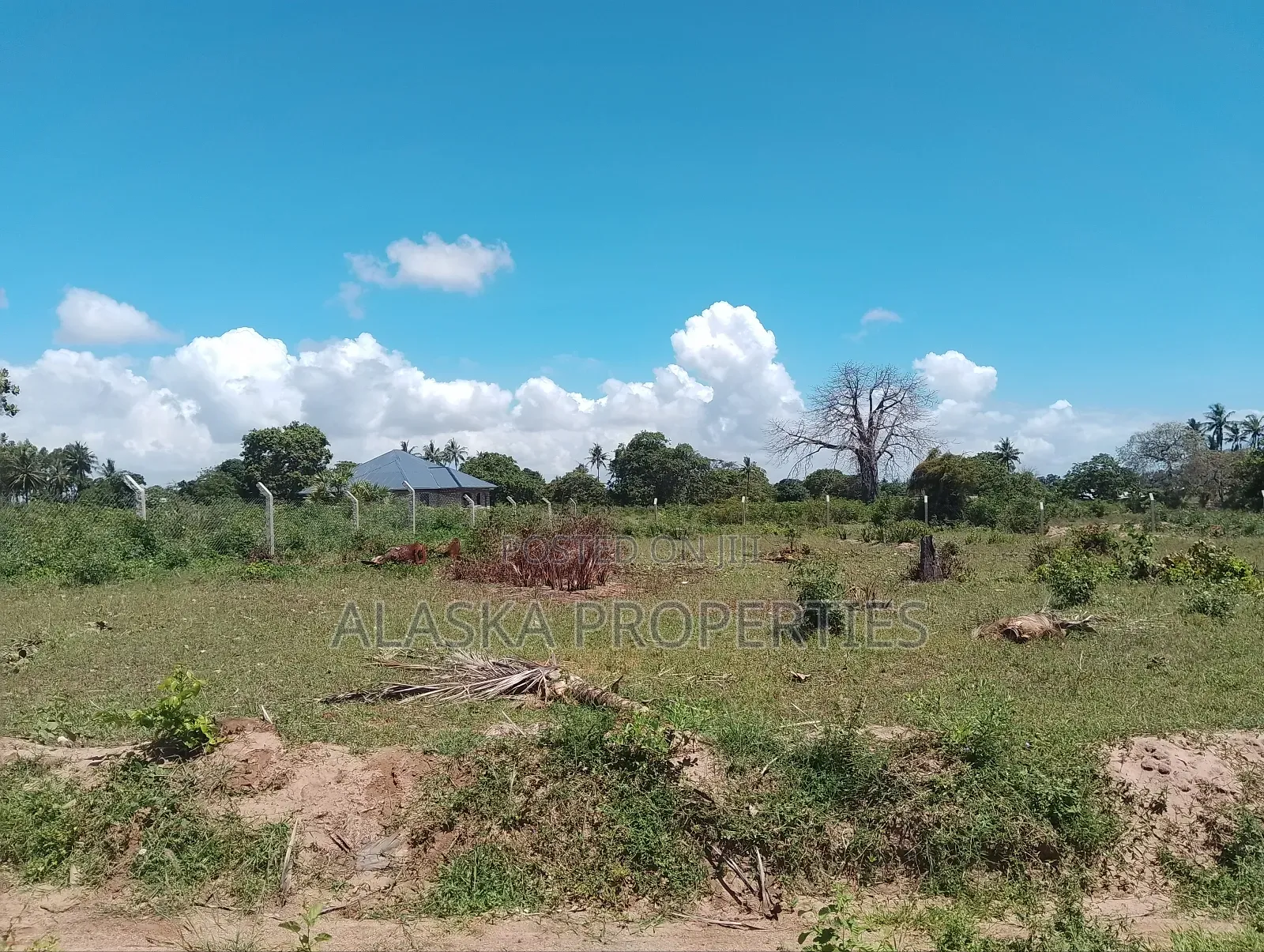 1/8 Prime Plot for Sale at Dongo Kundu Bypass in Likoni