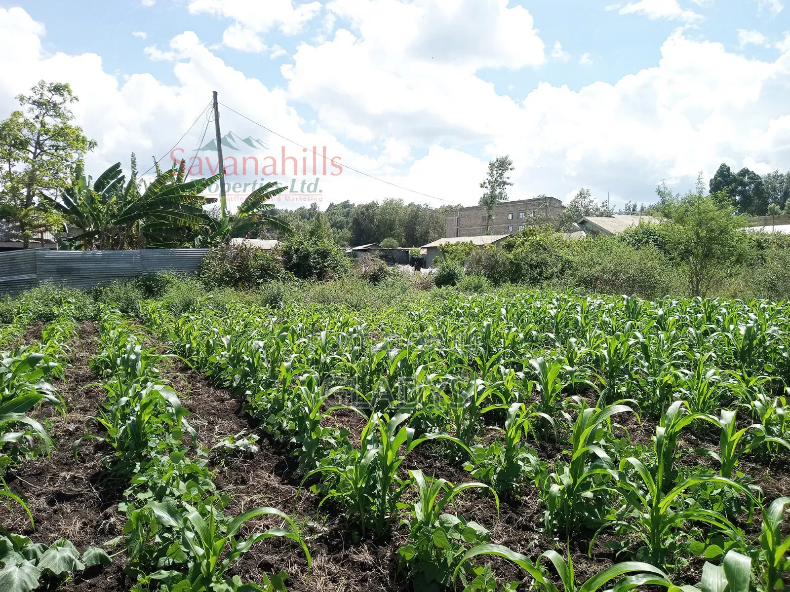 Zambia Eighth of an Acre 9plots in Woodley/Kenyatta Golf Course