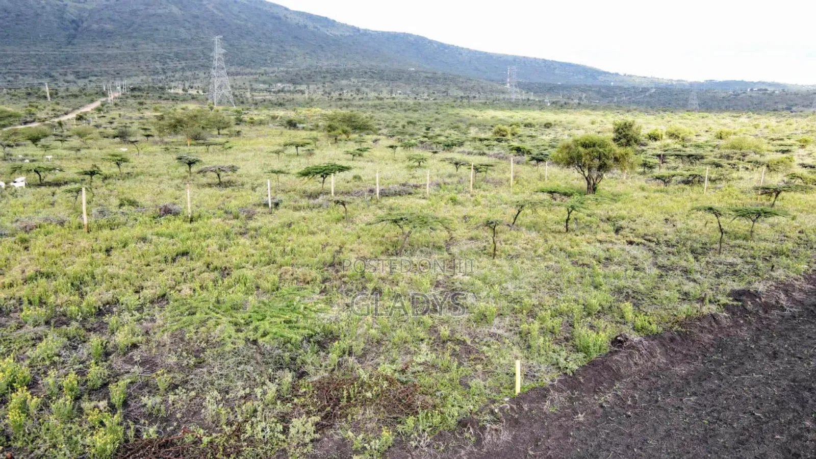 7acres of Land at Kisamis Each 2.9m in Woodley/Kenyatta Golf Course