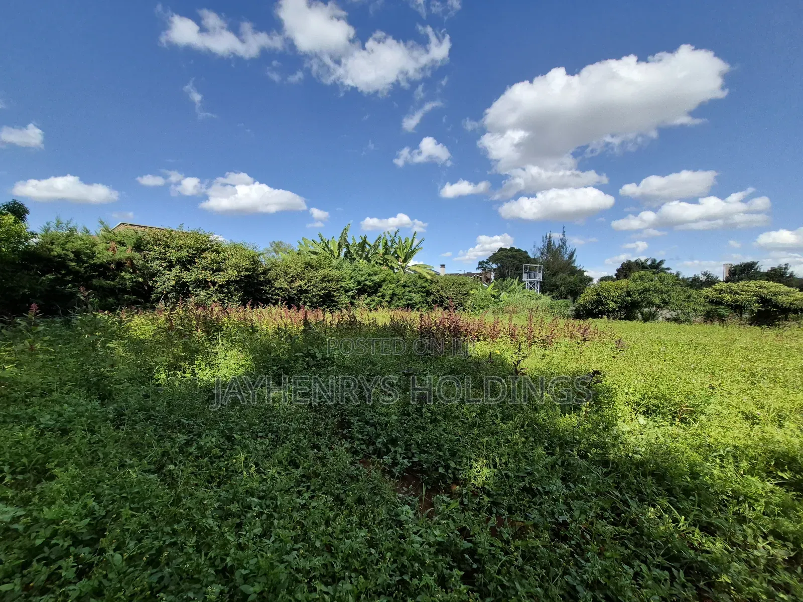 1/2 Acre Plot of Land for Sale Along Kiambu Rd in Kiambu / Kiambu 