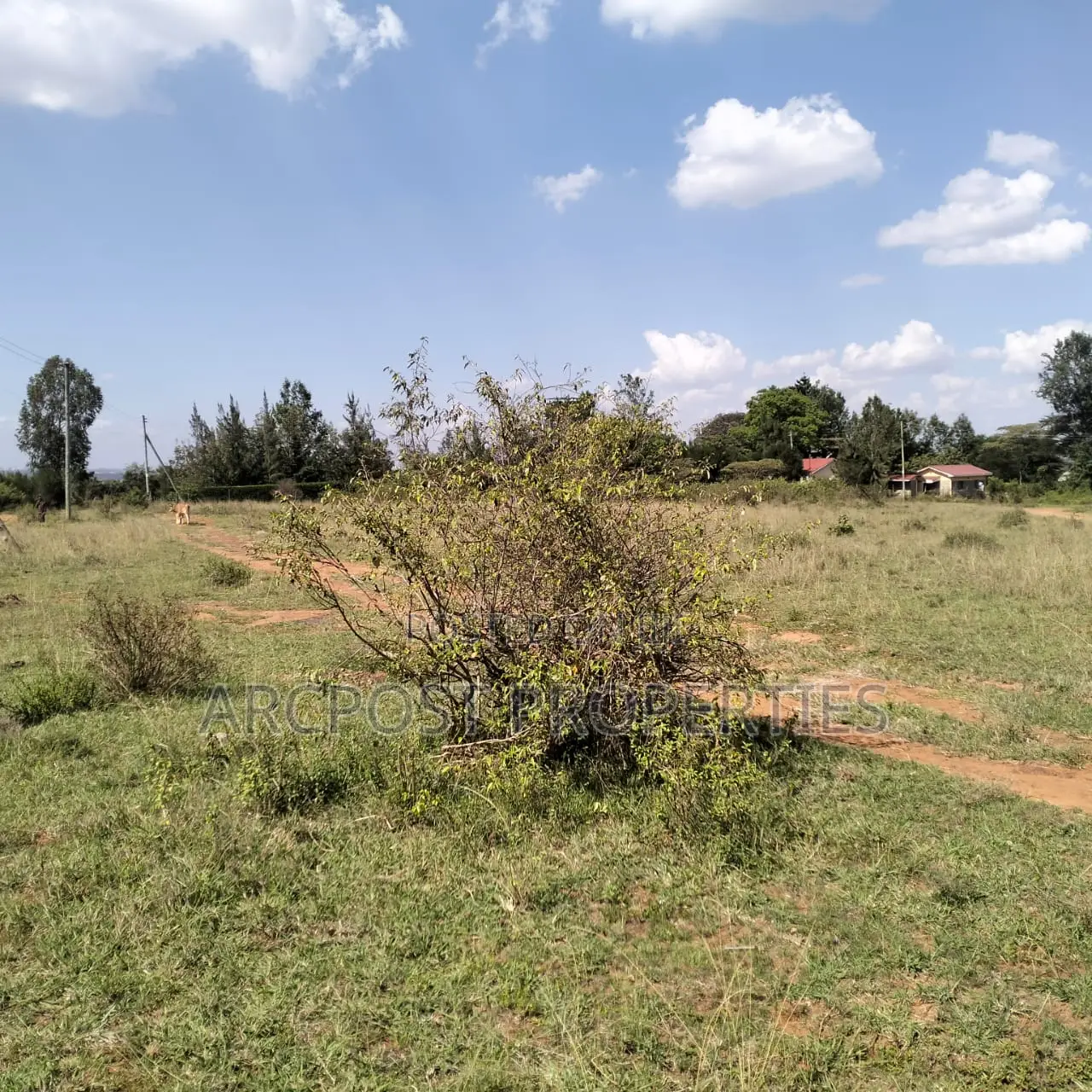 1.5 Acre Plot – Tuala Sholinke (Mixed-Use Land) in Ole Kasasi