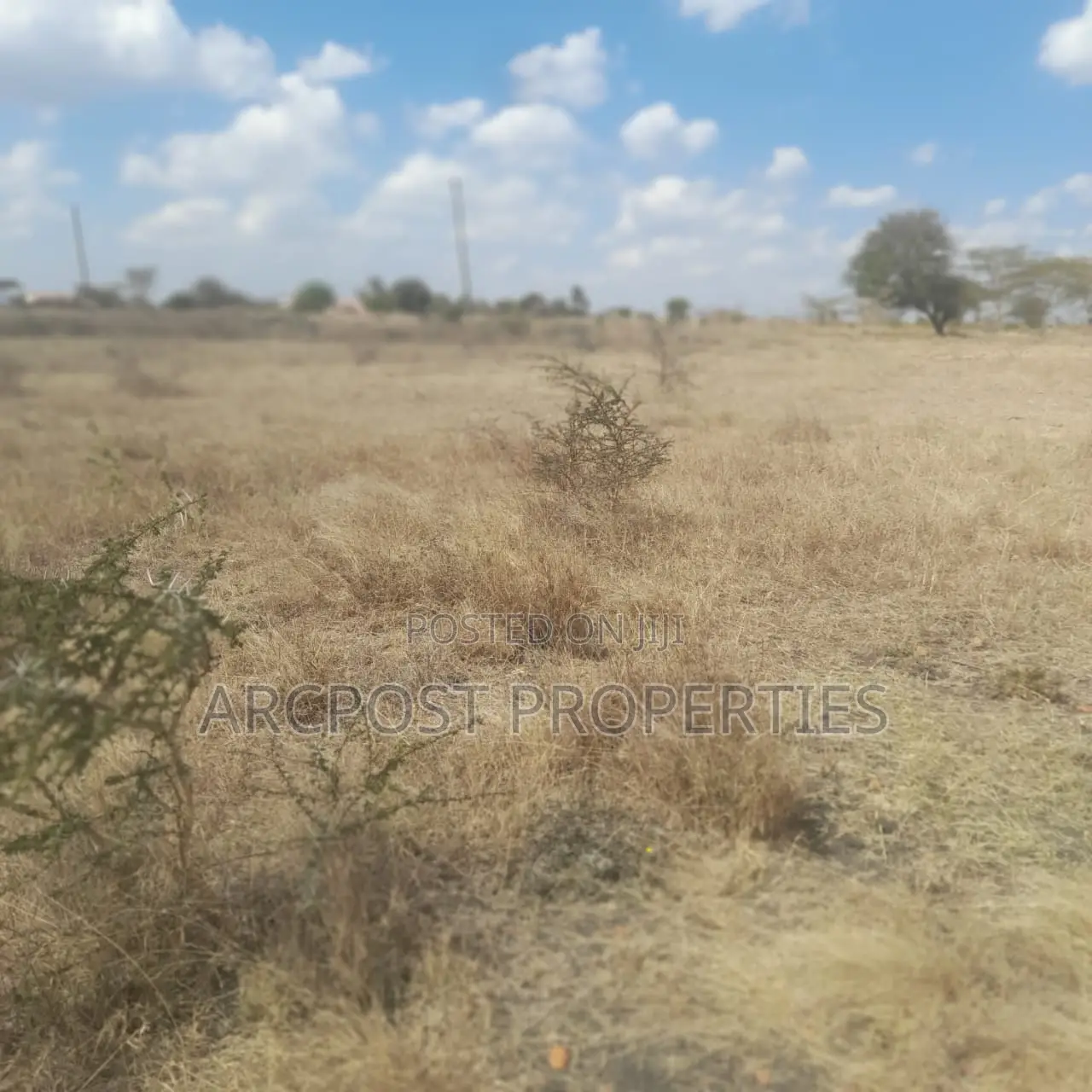 Affordable 50x100 Plots for Sale – Old Konza City in Malili
