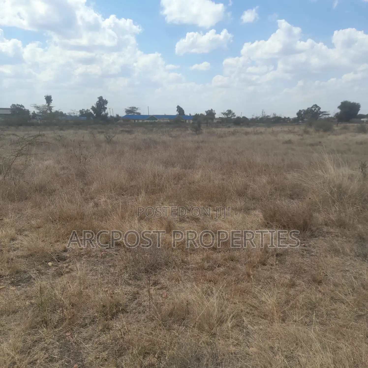 Affordable 50x100 Plots for Sale – Old Konza City in Malili
