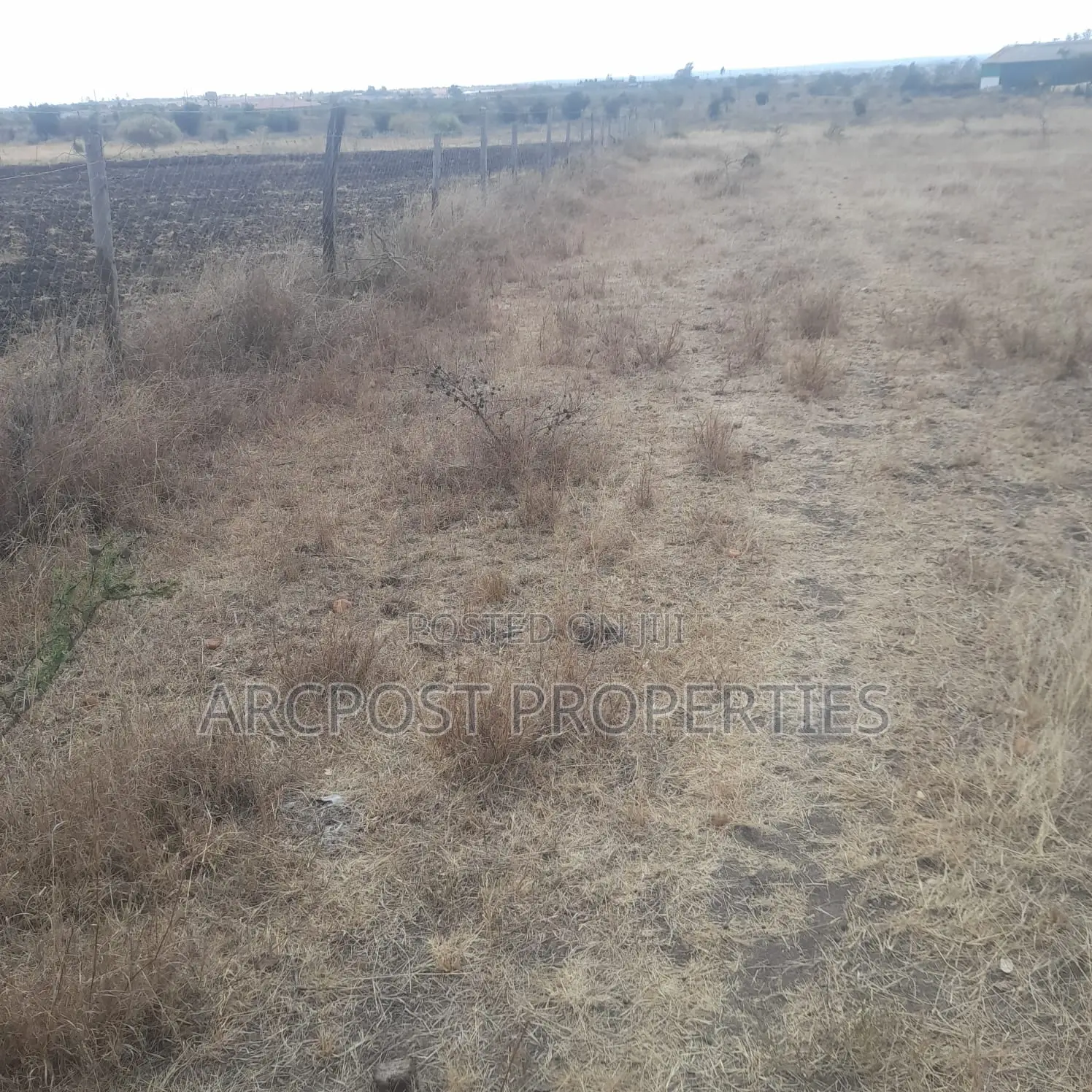 Affordable 50x100 Plots for Sale – Old Konza City in Malili