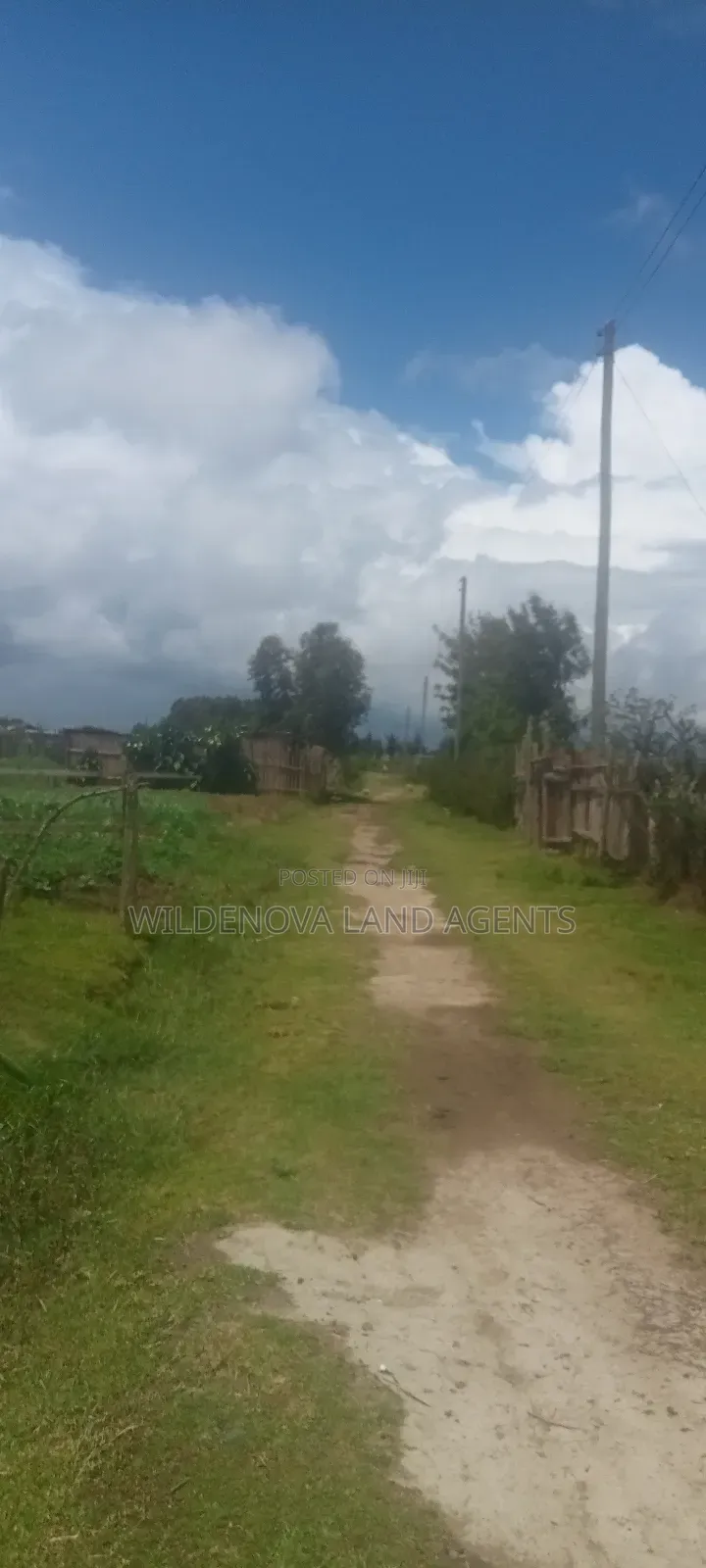Plot for Sale in Magutu
