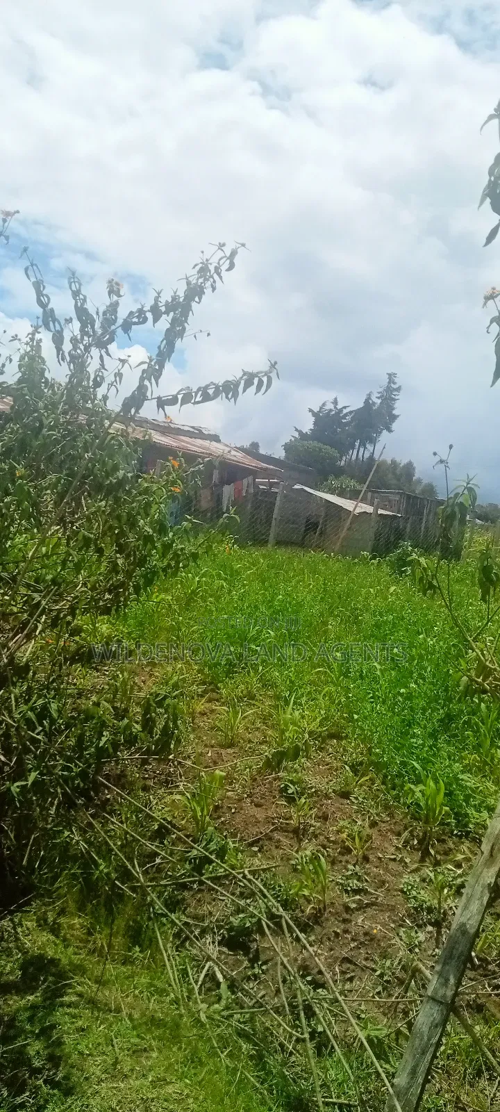 Plot for Sale in Magutu