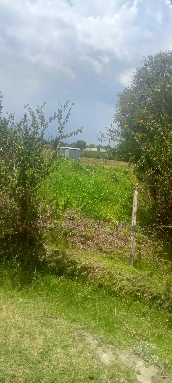 Plot for Sale in Magutu