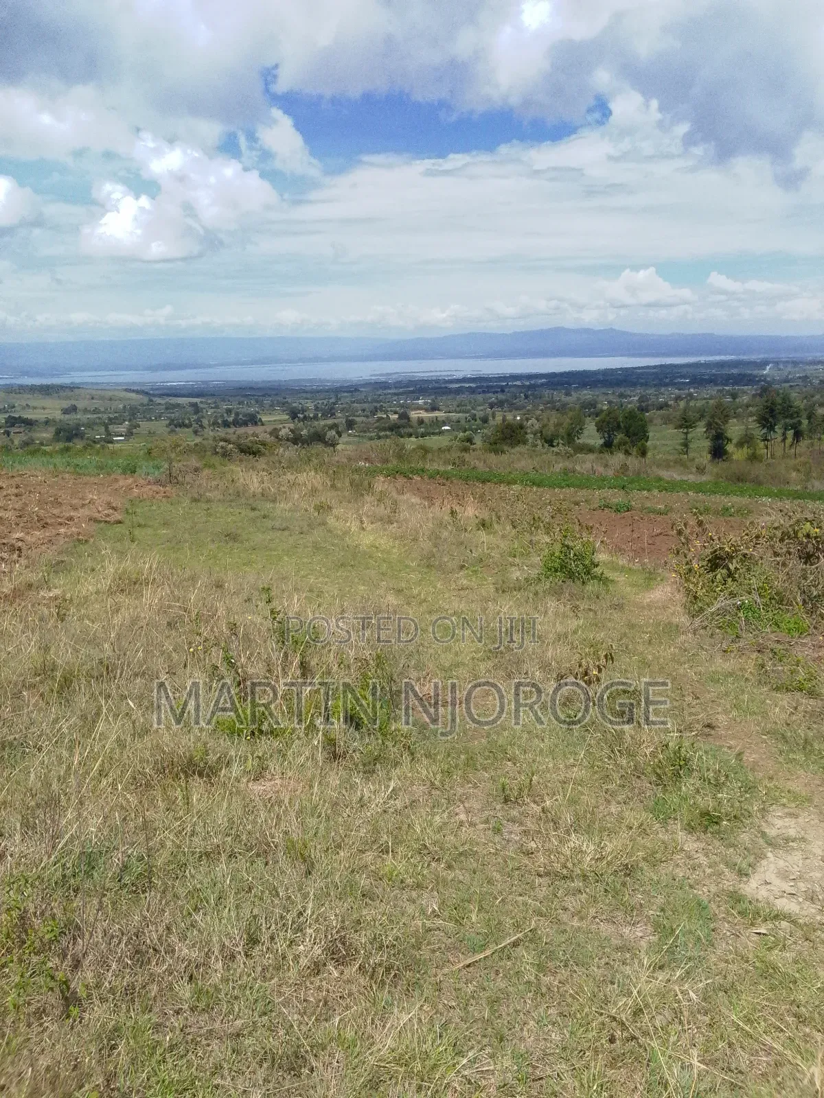 1⁄8 Plot Kinungi in Naivasha East