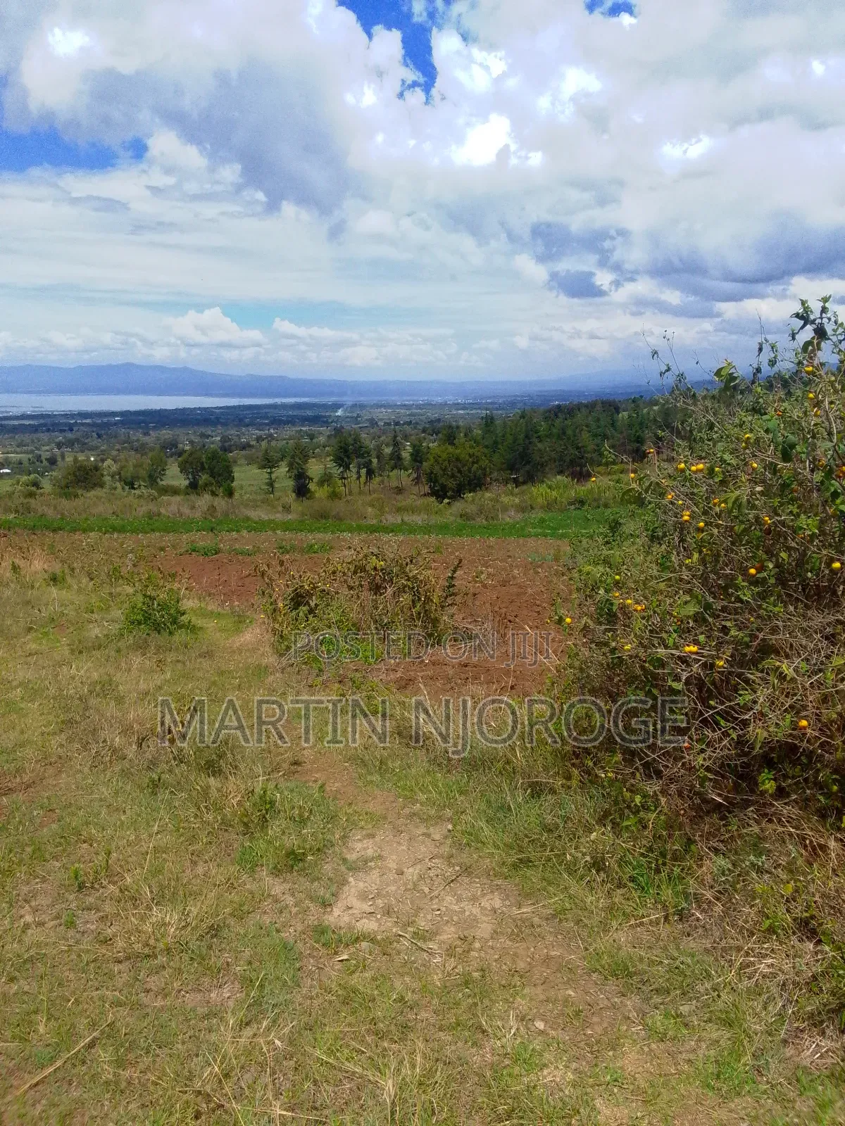 1⁄8 Plot Kinungi in Naivasha East