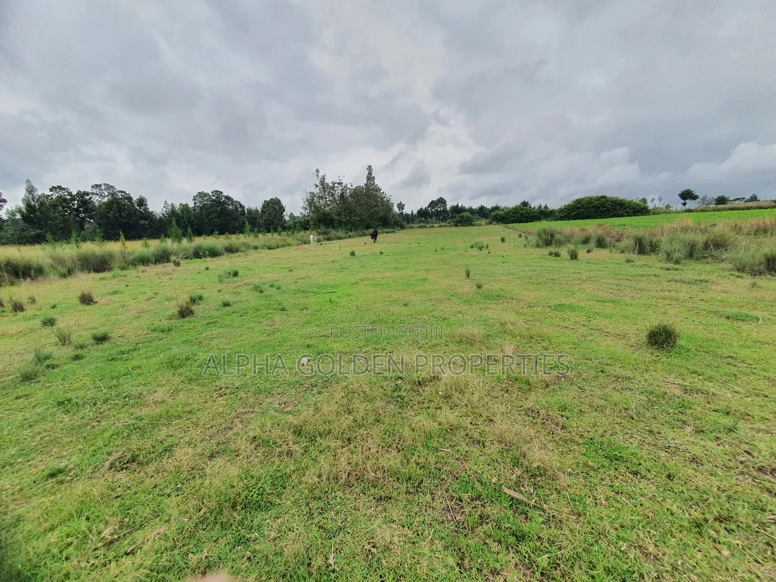 2 Acreas in Nanyuki [ Kwahuku ] in Nanyuki