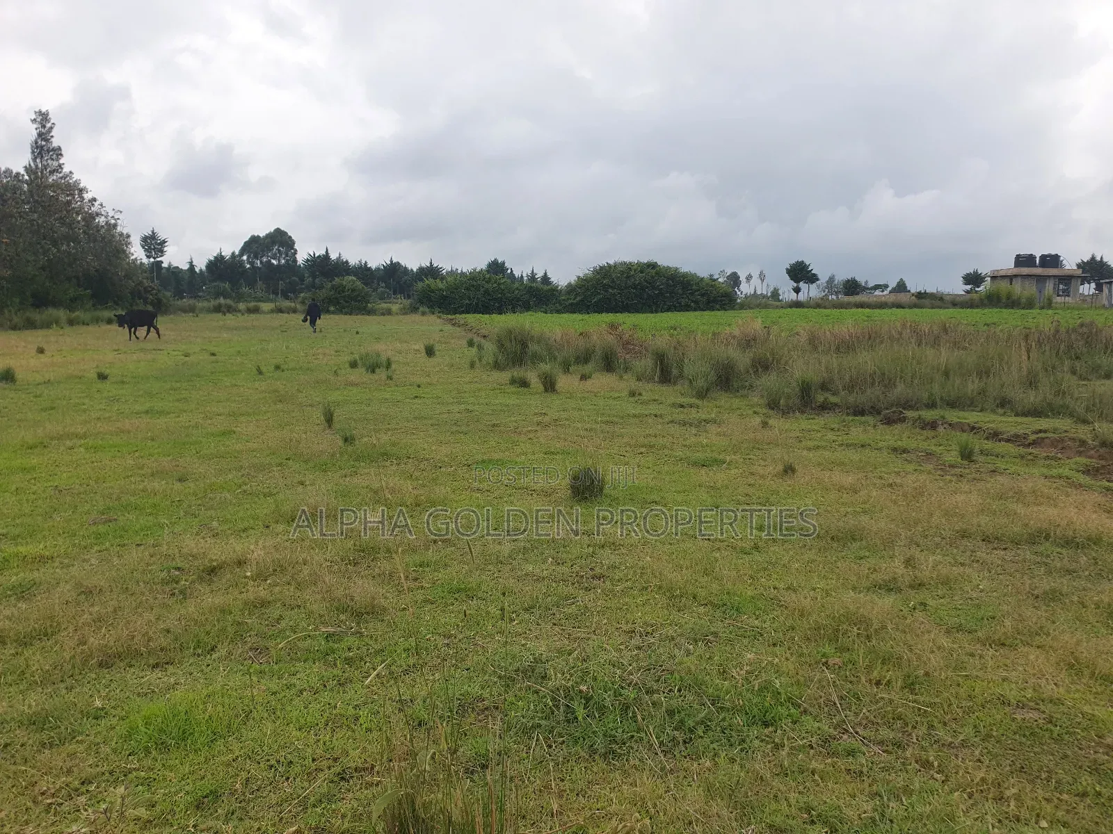 2 Acreas in Nanyuki [ Kwahuku ] in Nanyuki