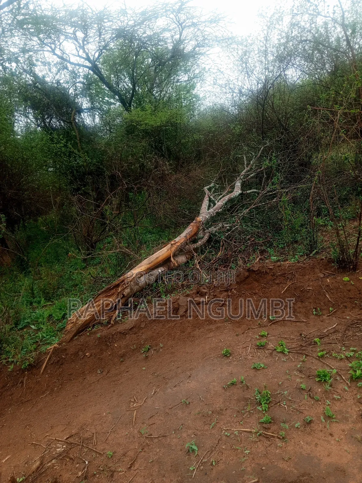 30 Acres Land for Sale at Machakos Wamunyu in Machakos Town