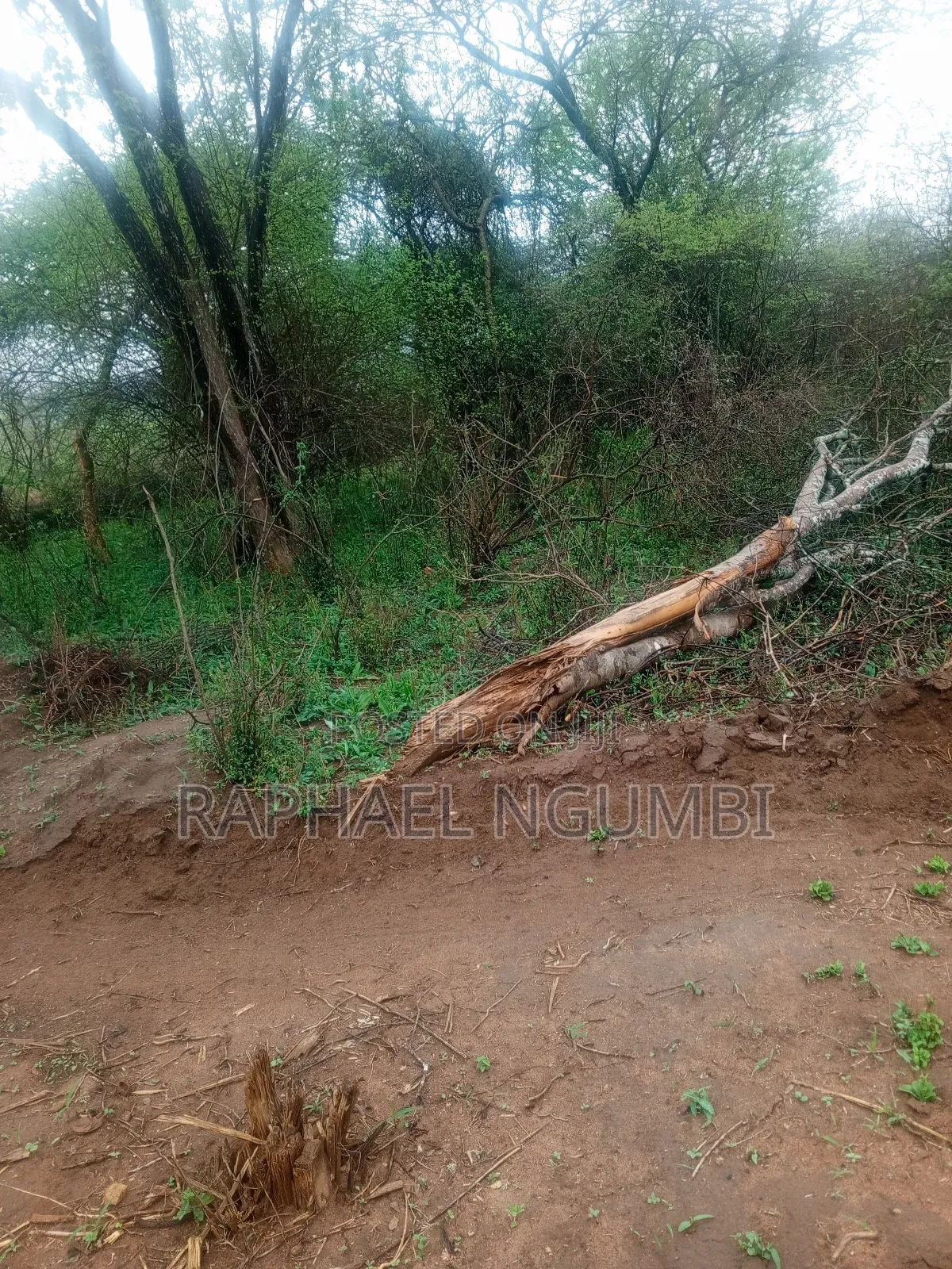30 Acres Land for Sale at Machakos Wamunyu in Machakos Town