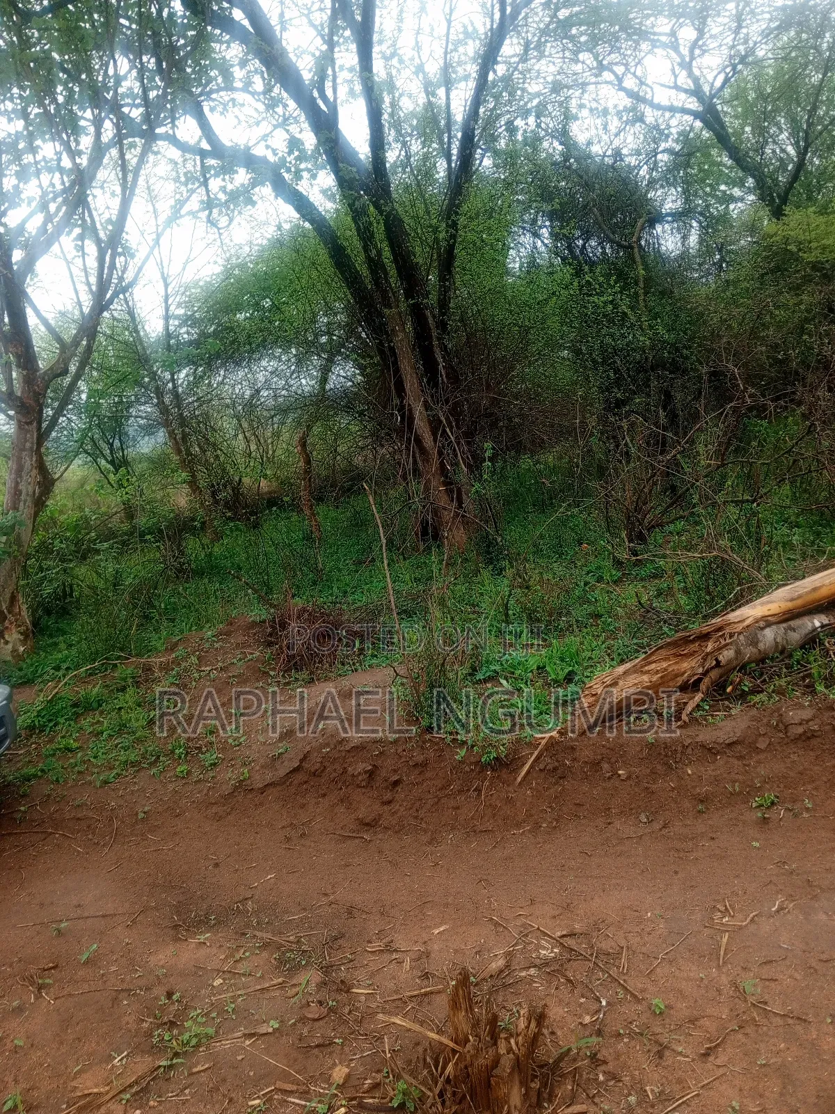 30 Acres Land for Sale at Machakos Wamunyu in Machakos Town