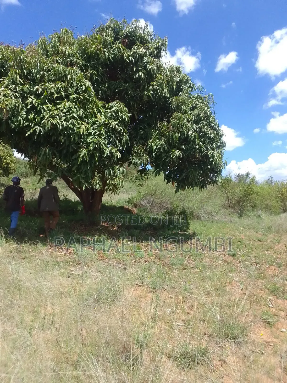 2 Acres at Mua Hills 1km From Sonko Road in Mua