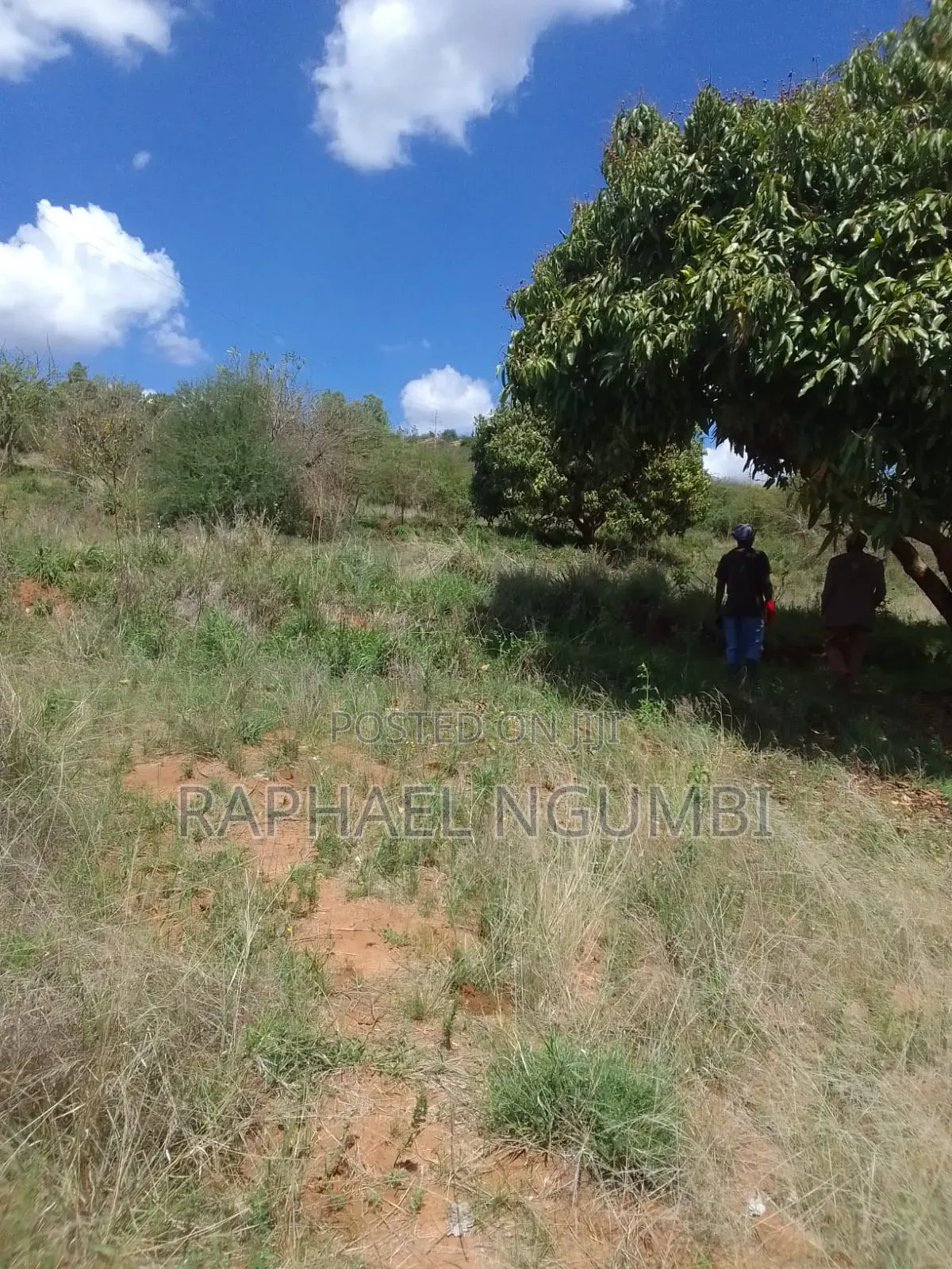 2 Acres at Mua Hills 1km From Sonko Road in Mua