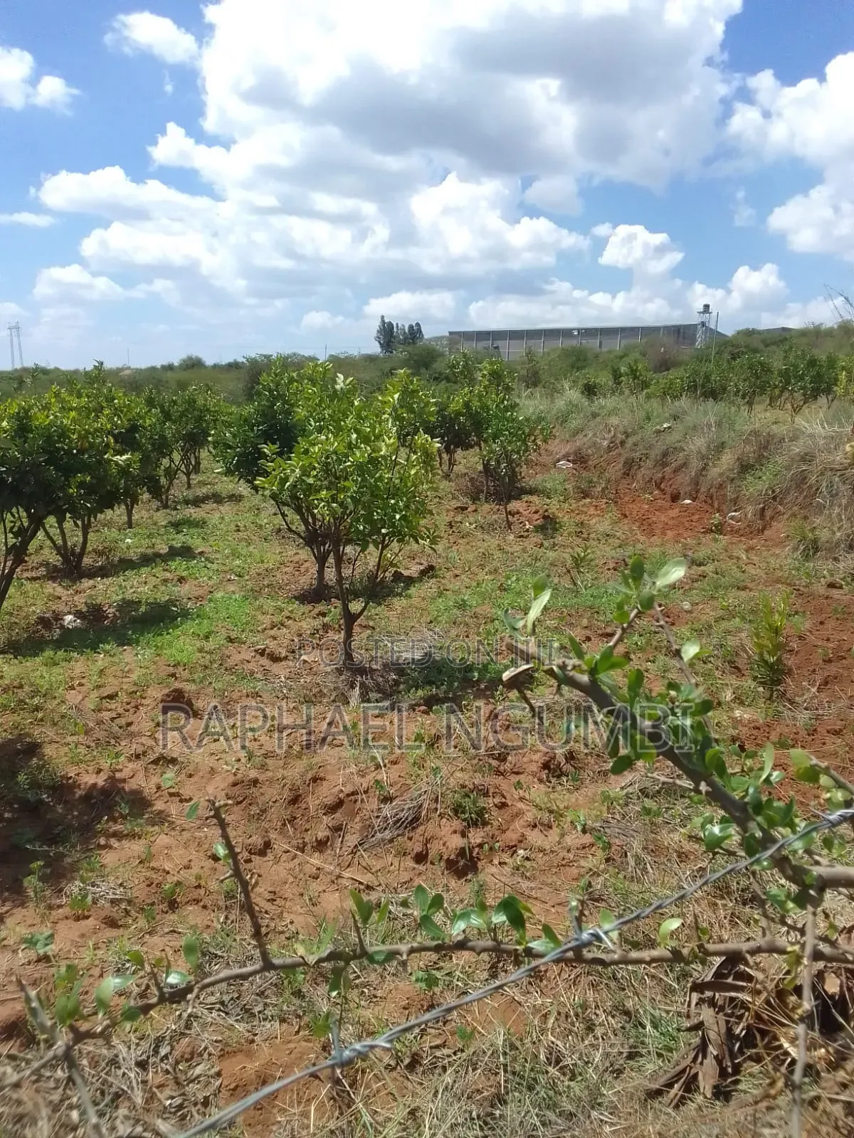 2 Acres at Mua Hills 1km From Sonko Road in Mua