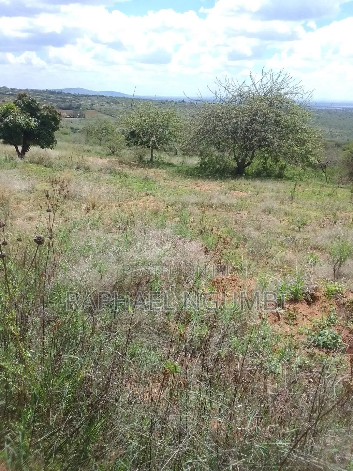 2 Acres at Mua Hills 1km From Sonko Road in Mua