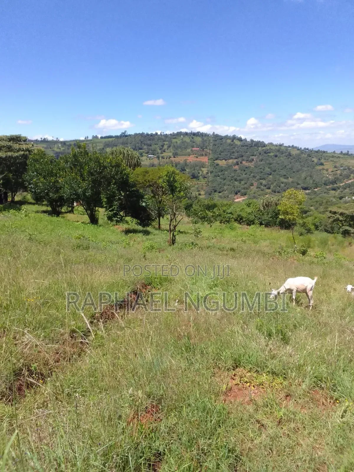 Machakos Mua 2 Acres Near Sonko Farm in Mua