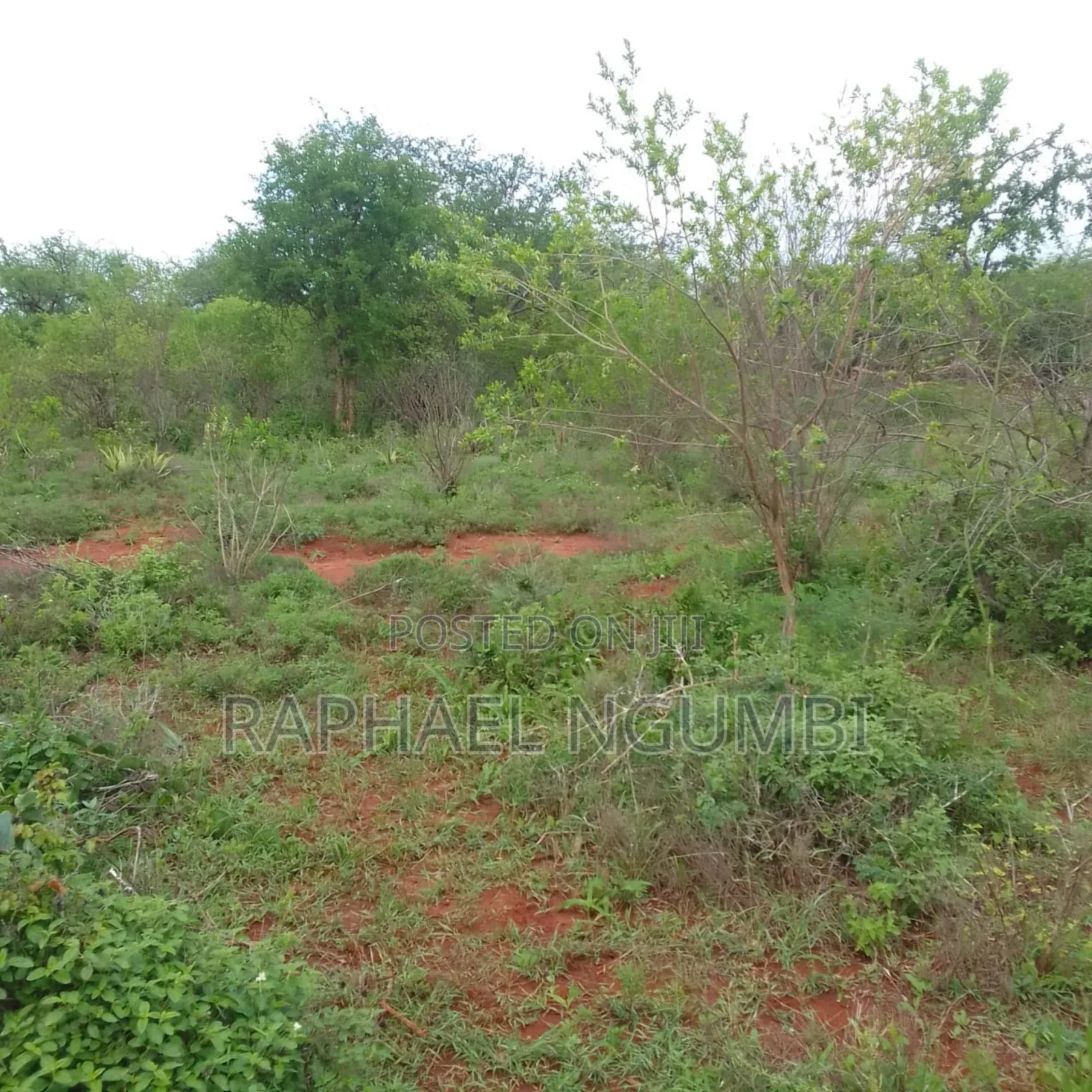 Machakos Mua 2 Acres Near Sonko Farm in Mua