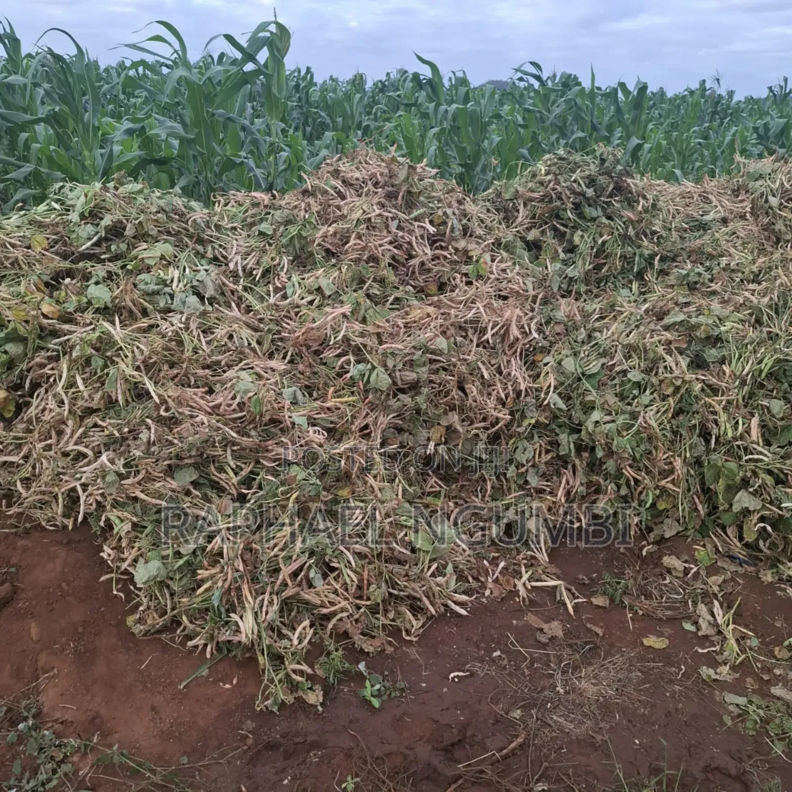 40 Acres at Kiboko - Emali Mombasa Road in Emali/Mulala