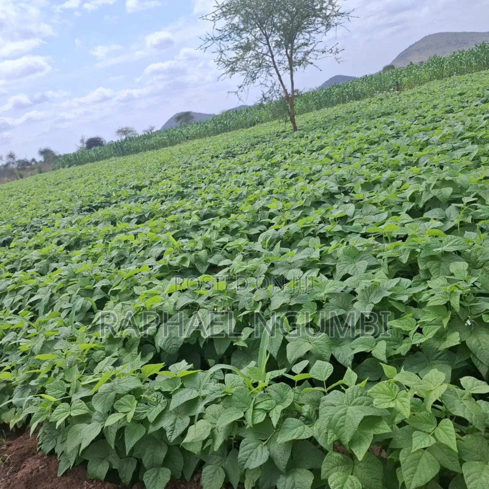 40 Acres at Kiboko - Emali Mombasa Road in Emali/Mulala