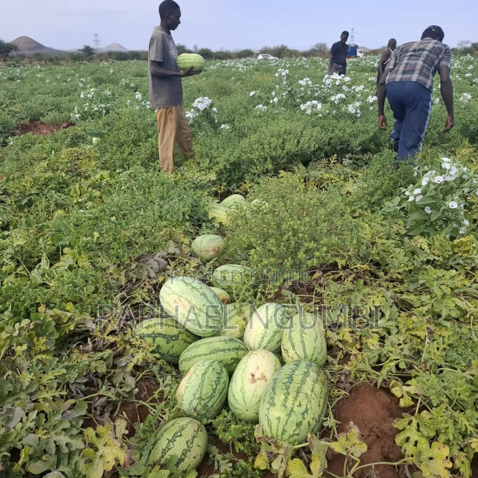 40 Acres at Kiboko - Emali Mombasa Road in Emali/Mulala
