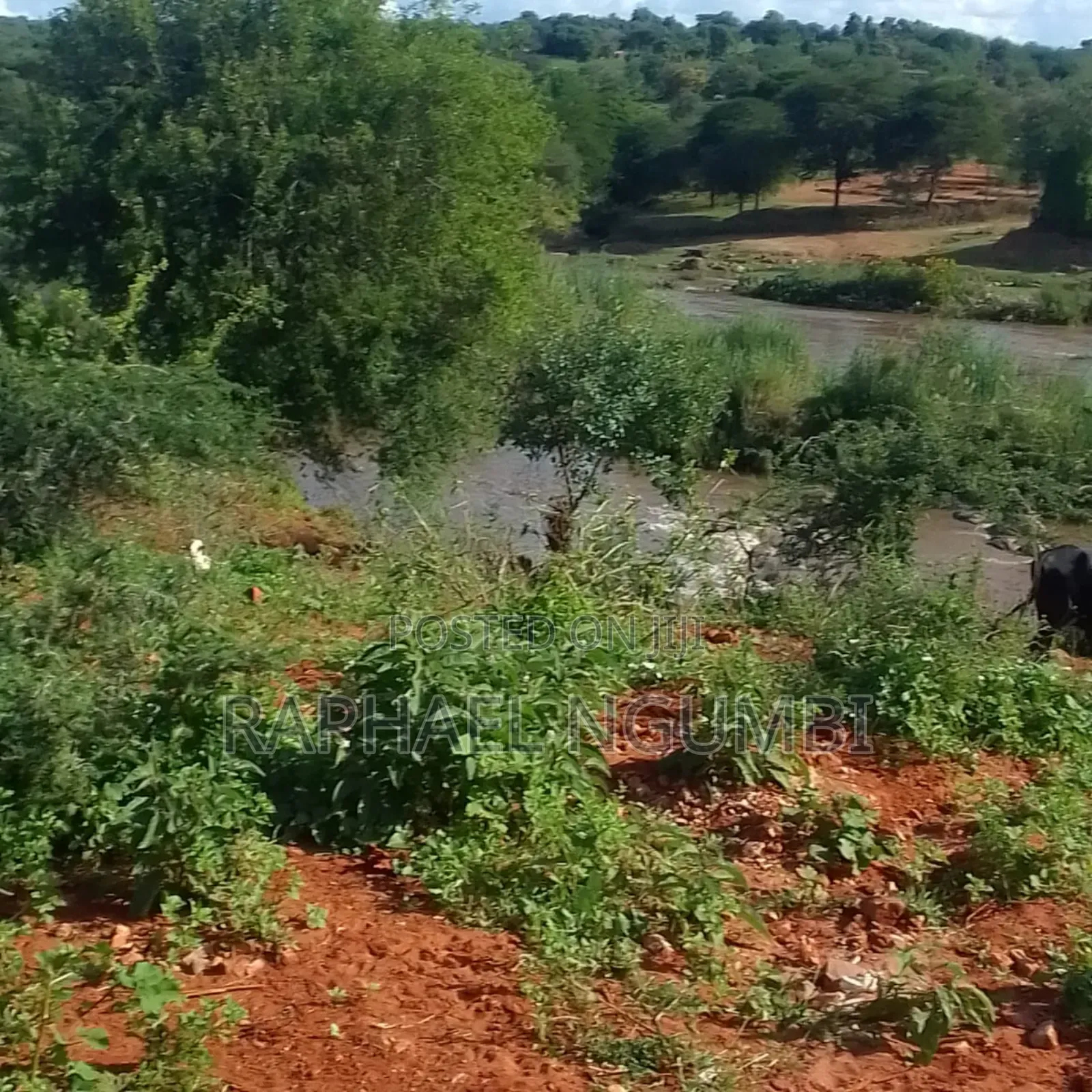 5 Acres at Thika River at Ekalakala in Yatta