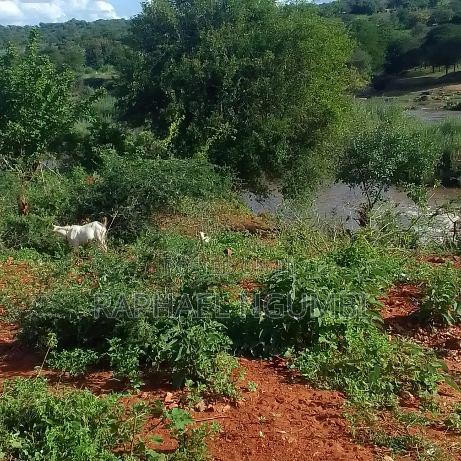 5 Acres at Thika River at Ekalakala in Yatta