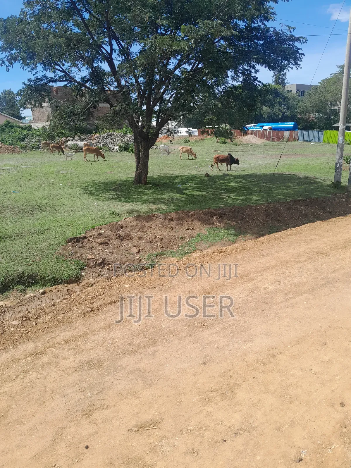 Prime 4 Plots Near Staridge Hotel in Homa Bay in Homa Bay Central