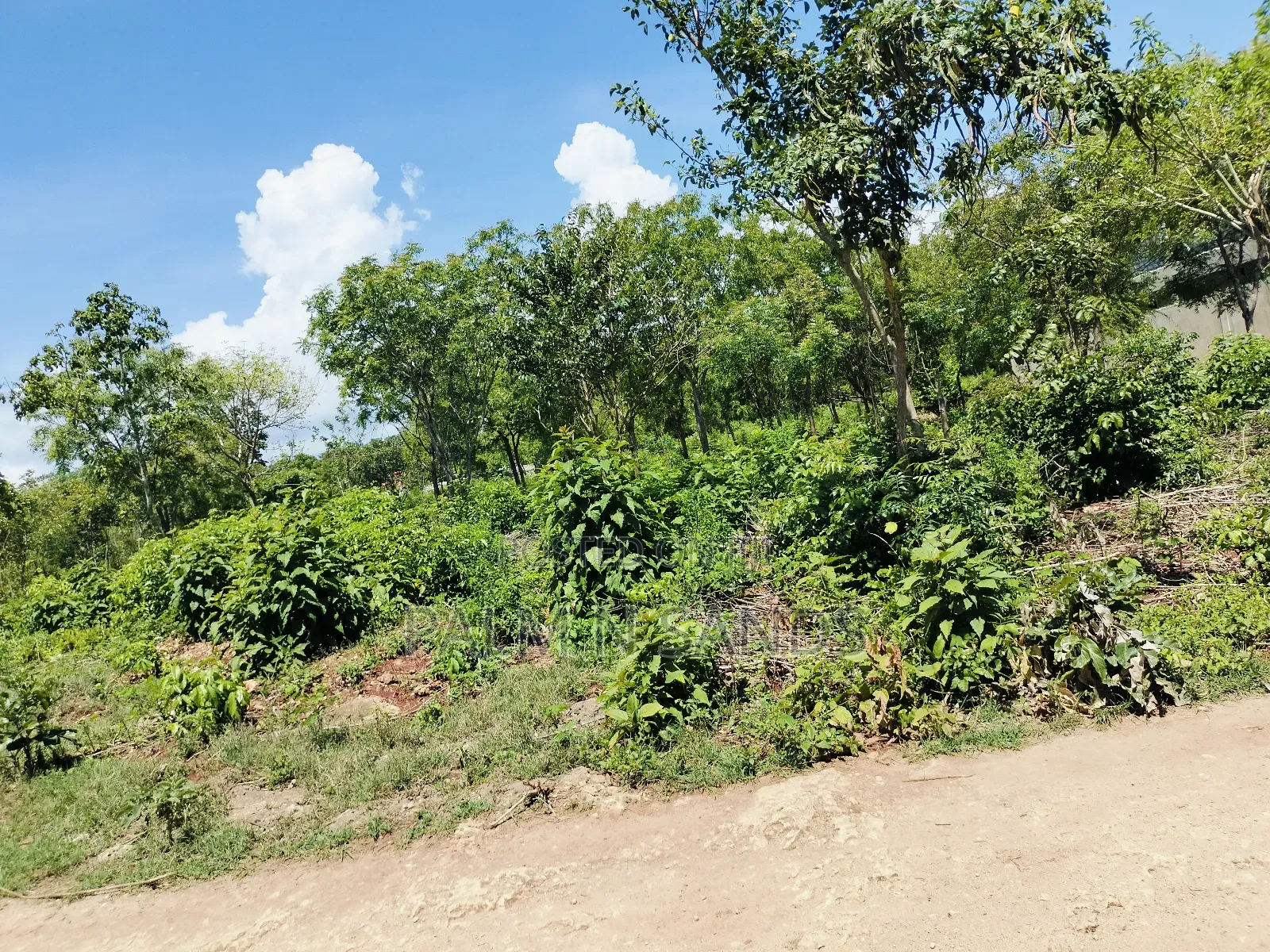 Half Acre Prime Plot Near Villa Mandhari Diani!! At in Diani