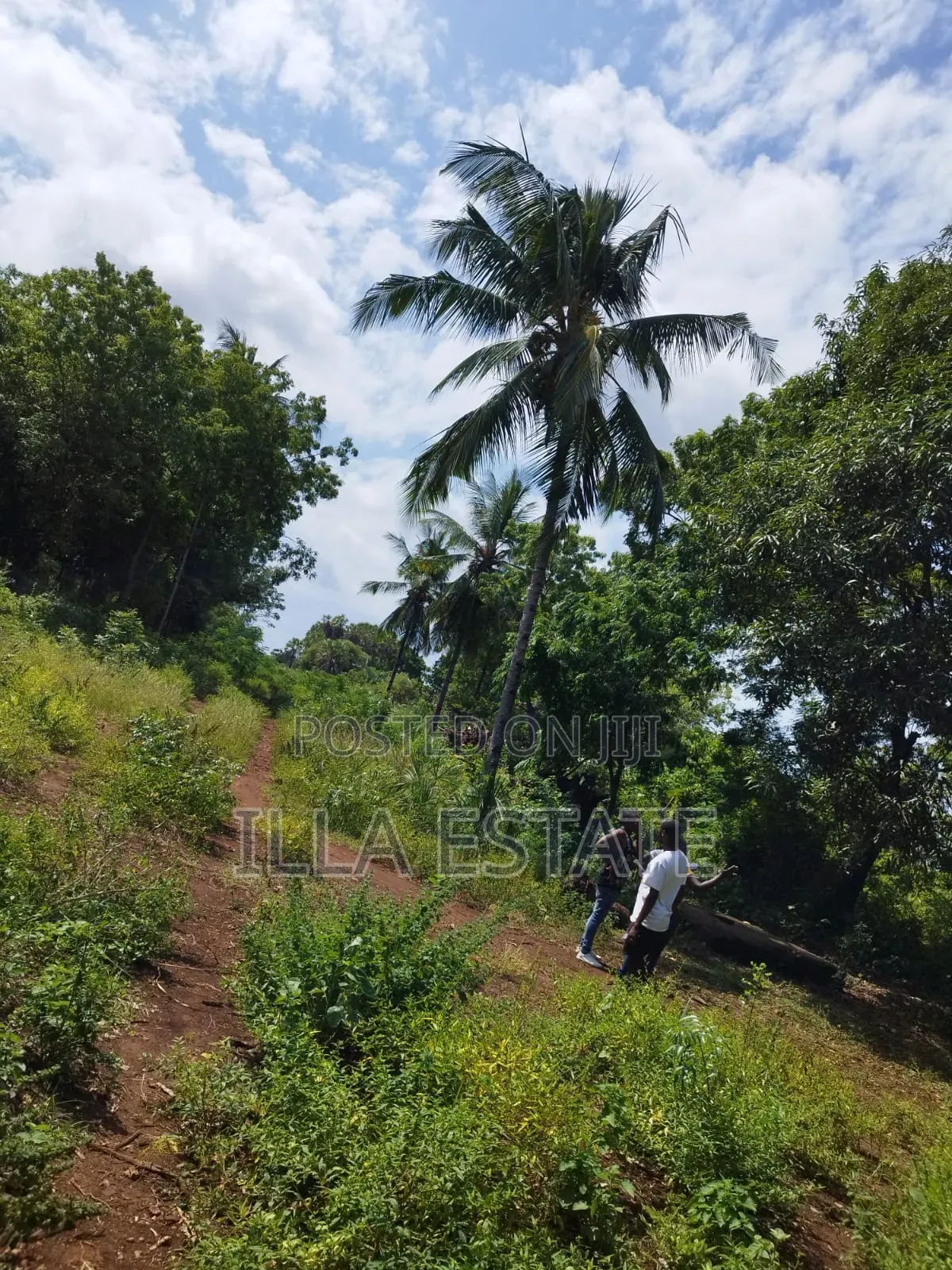 Development Opportunity in Diani in Ukunda