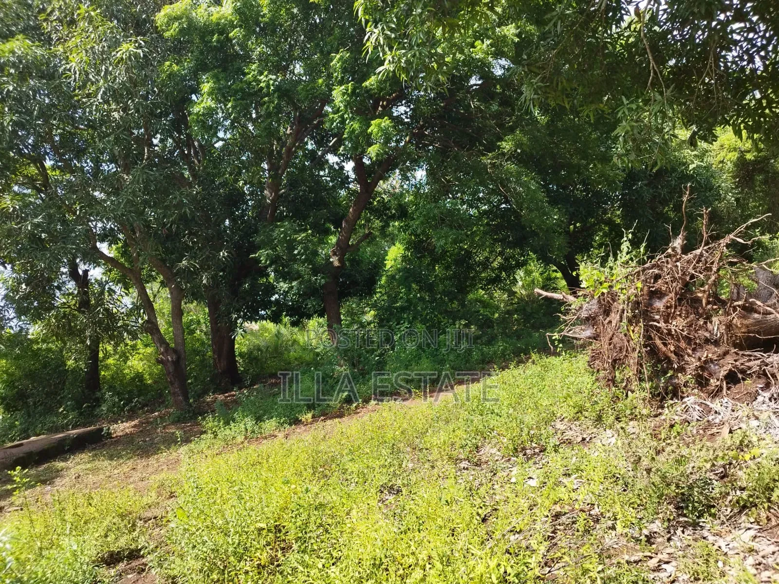 Development Opportunity in Diani in Ukunda
