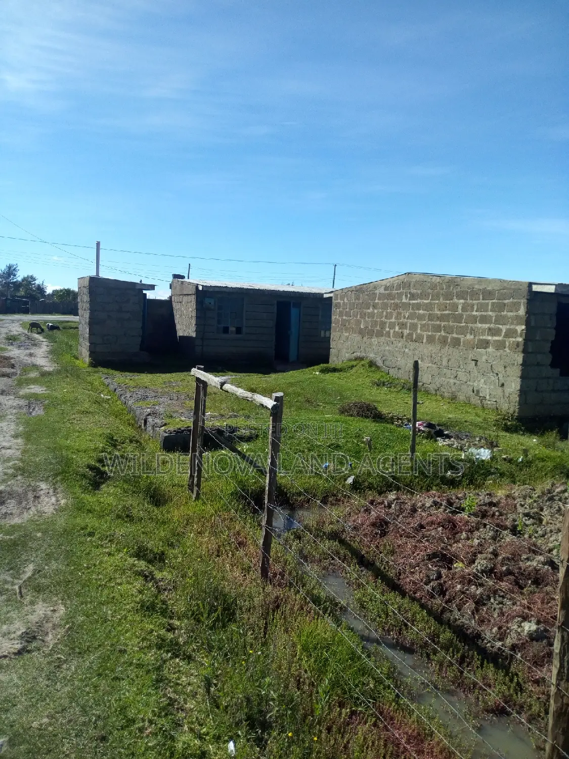 50*100 plots in Magumu Kinangop - Seize the Opportunity Today! in Magumu