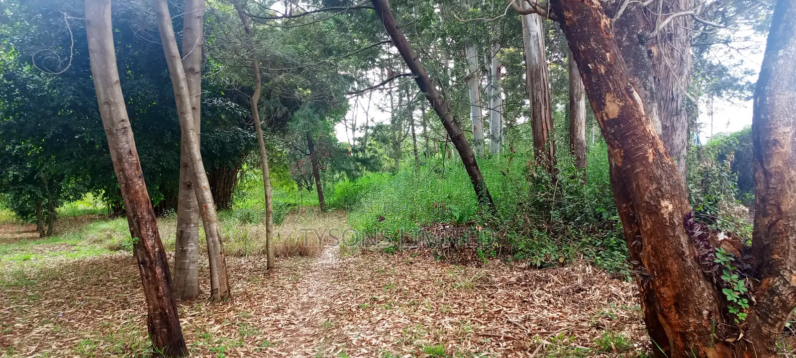 10 Acres for Sale in Karen in Karen C