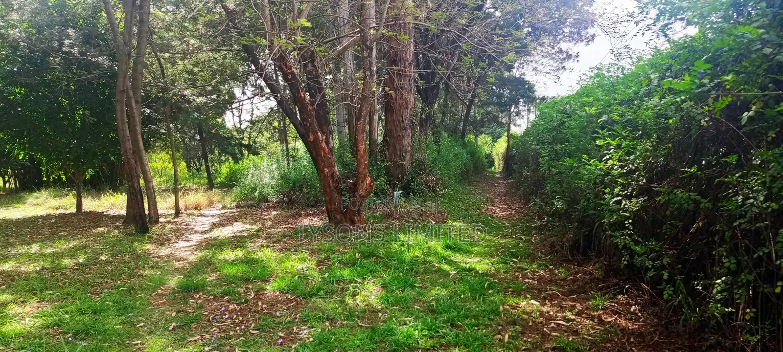 10 Acres for Sale in Karen in Karen C
