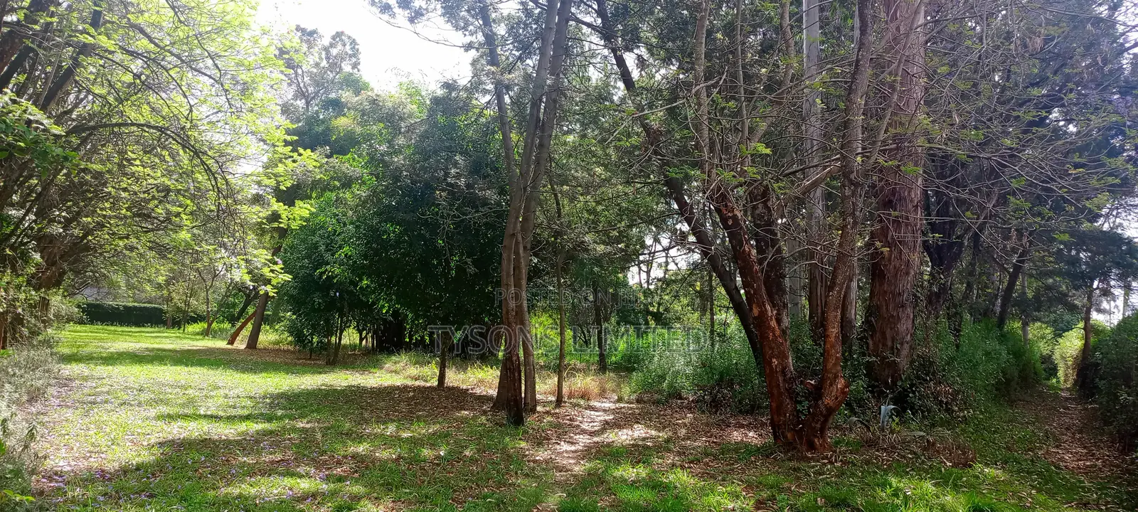 10 Acres for Sale in Karen in Karen C