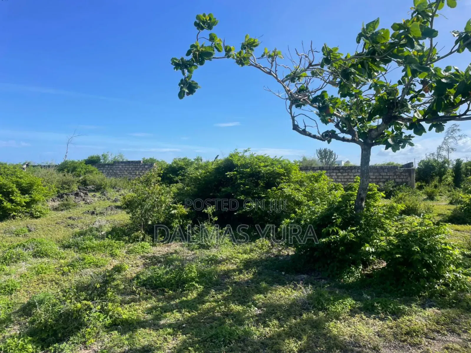 Half an Acre in Watamu in Watamu