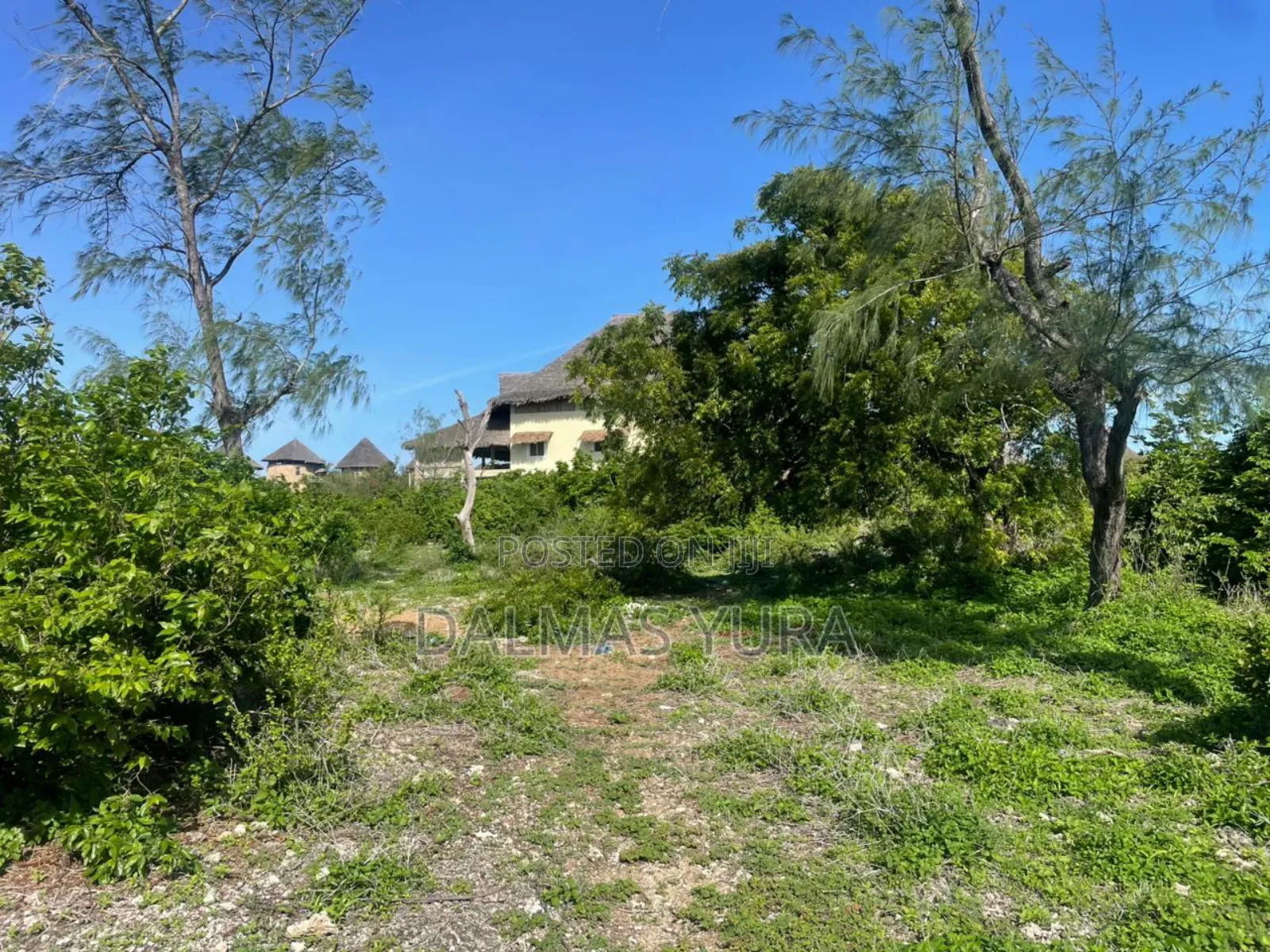 Half an Acre in Watamu in Watamu