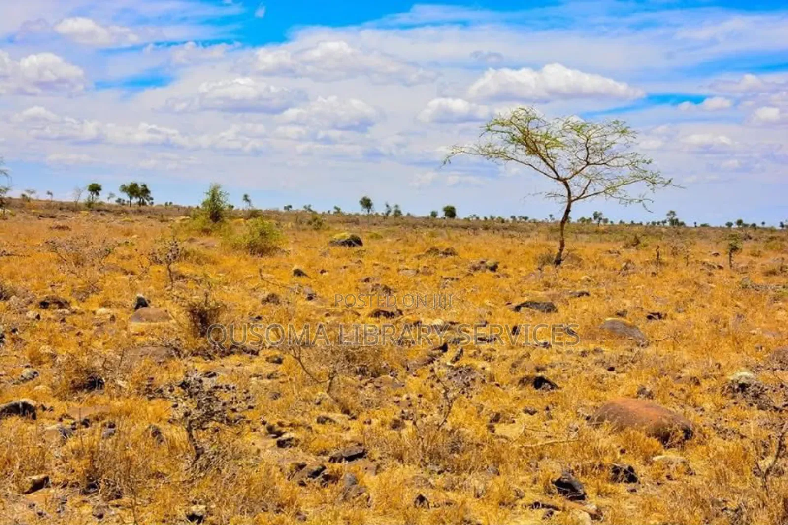 Goldmine at Kajiado Esokota, Next to Kajiado Level 5 Hospital, Gift It in Kajiado CBD