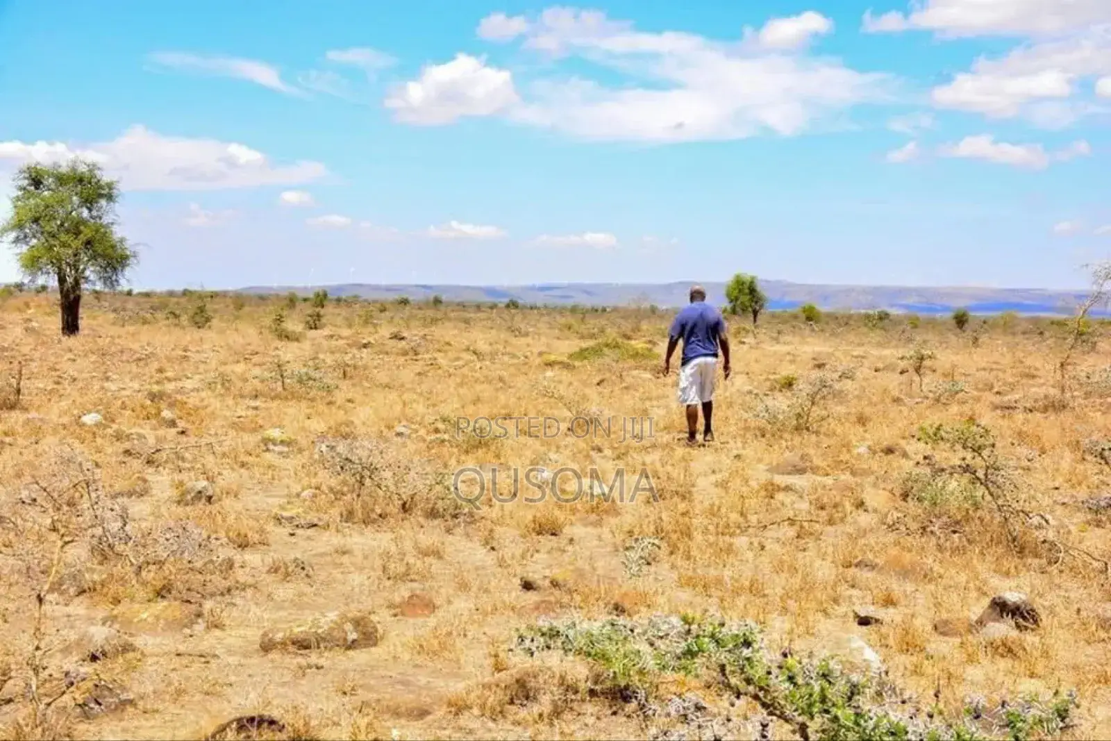 Goldmine at Kajiado Esokota, Next to Kajiado Level 5 Hospital, Gift It in Kajiado CBD