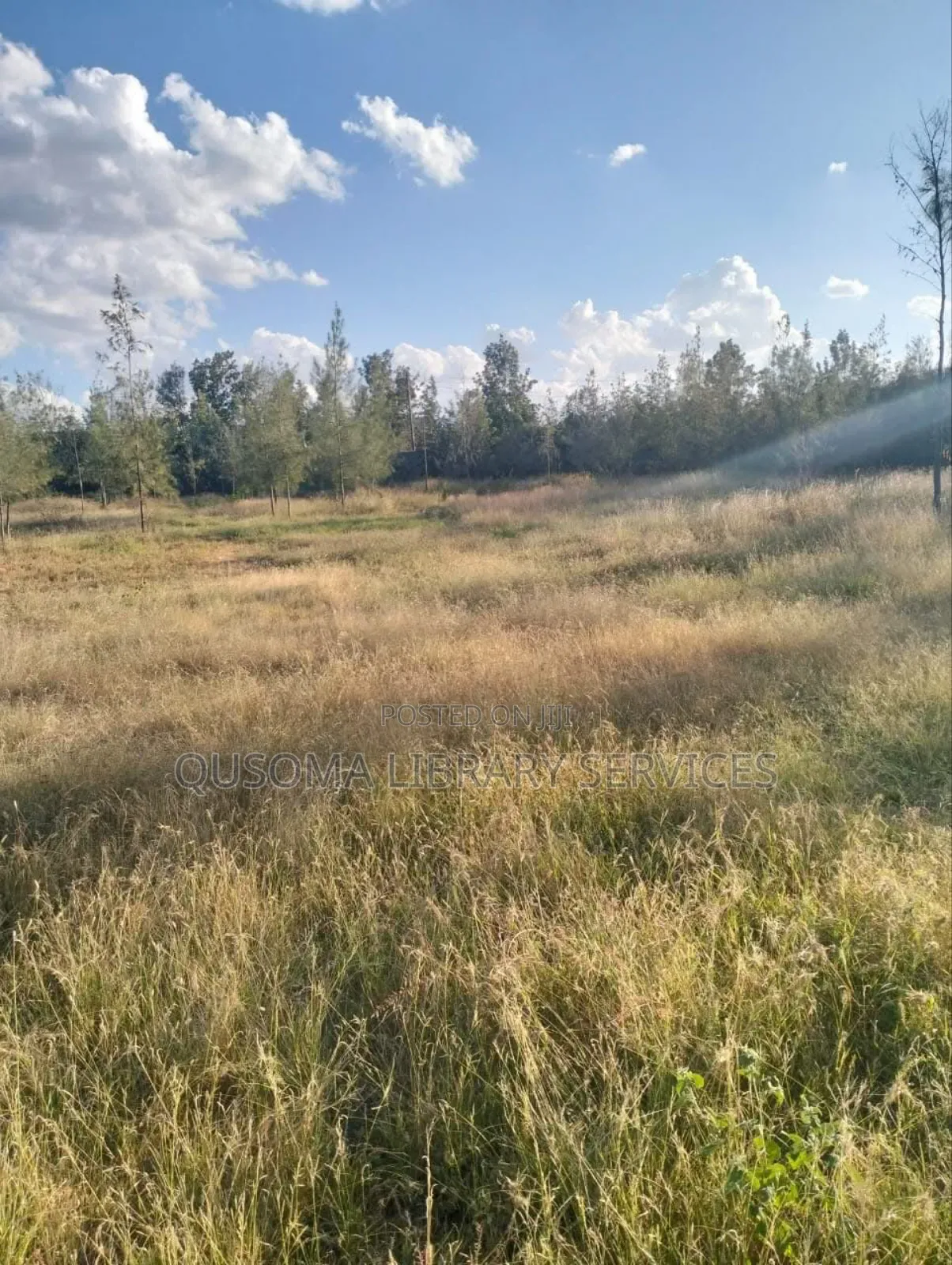 1 Acre Prime Investment Land – Kitengela New Valley in Kitengela