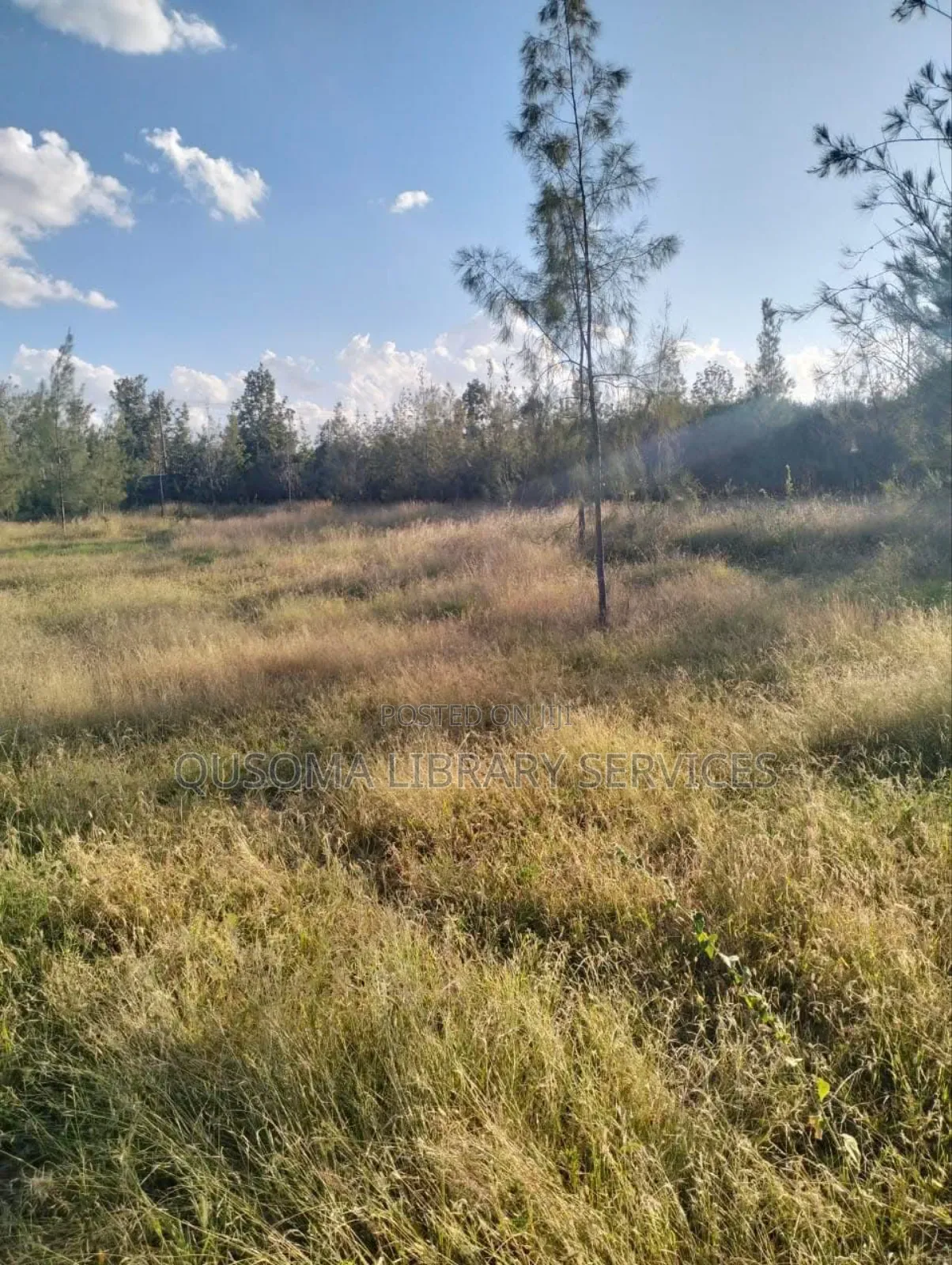1 Acre Prime Investment Land – Kitengela New Valley in Kitengela