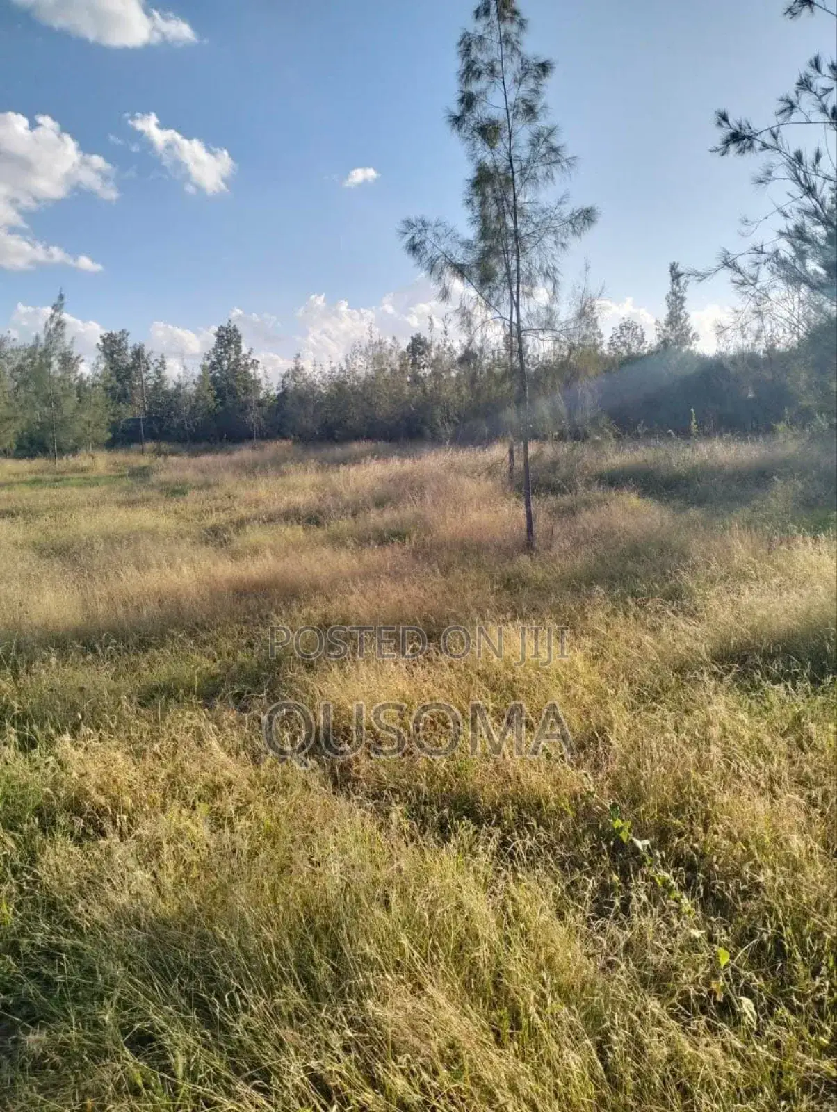 1 Acre Prime Investment Land – Kitengela New Valley in Kitengela
