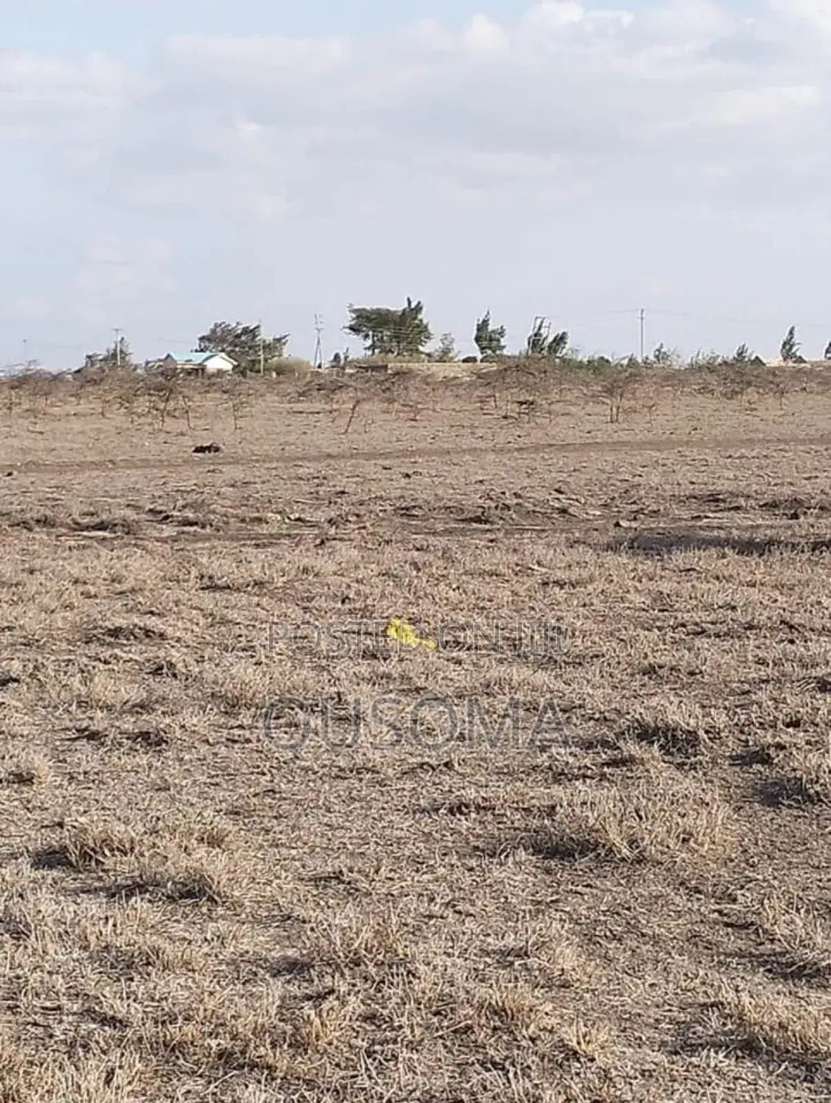 Distress Cash Sale – 5, 10 Acres With Epic Views Tuala Kyumvi-Rongai in Ongata Rongai