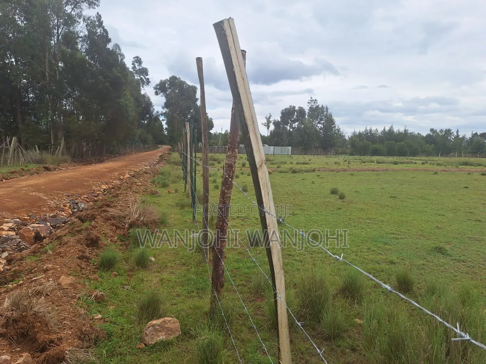 Leshau, Nyahururu Prime Plots in Igwamiti